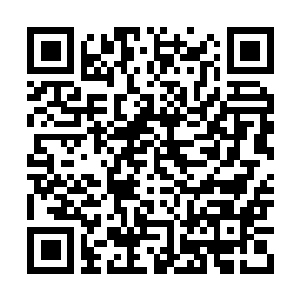 Link to your fundraiser QRCode - Fundraising
