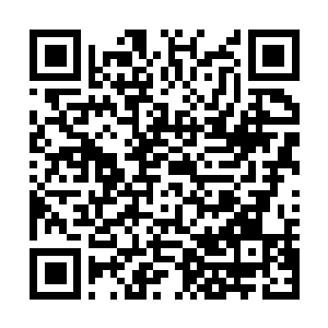 Link to your fundraiser QRCode - Fundraising
