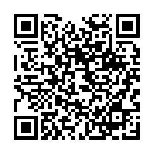 Link to your fundraiser QRCode - Fundraising
