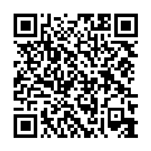 Link to your fundraiser QRCode - Fundraising