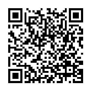 Link to your fundraiser QRCode - Fundraising