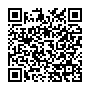 Link to your fundraiser QRCode - Fundraising