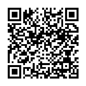 Link to your fundraiser QRCode - Fundraising