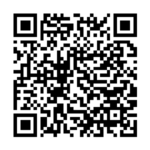 Link to your fundraiser QRCode - Fundraising