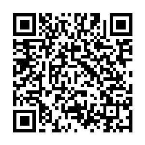 Link to your fundraiser QRCode - Fundraising