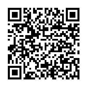 Link to your fundraiser QRCode - Fundraising