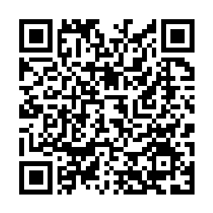 Link to your fundraiser QRCode - Fundraising