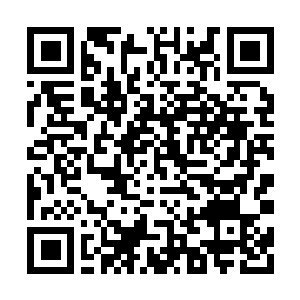 Link to your fundraiser QRCode - Fundraising