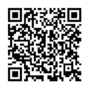 Link to your fundraiser QRCode - Fundraising