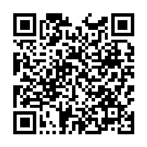 Link to your fundraiser QRCode - Fundraising