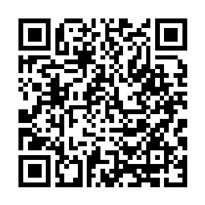 Link to your fundraiser QRCode - Fundraising