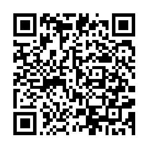 Link to your fundraiser QRCode - Fundraising