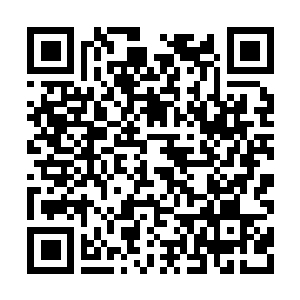 Link to your fundraiser QRCode - Fundraising