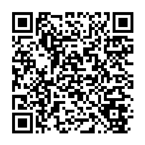 Link to your fundraiser QRCode - Fundraising