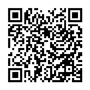 Link to your fundraiser QRCode - Fundraising