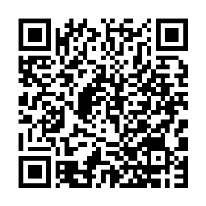 Link to your fundraiser QRCode - Fundraising