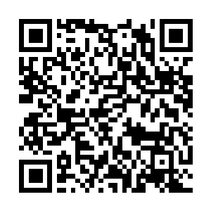 Link to your fundraiser QRCode - Fundraising