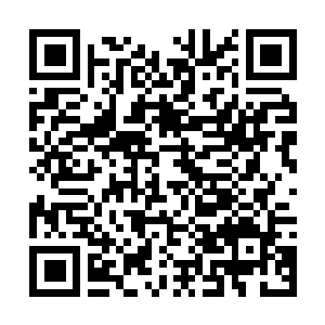 Link to your fundraiser QRCode - Fundraising
