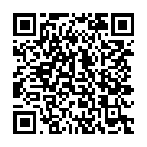 Link to your fundraiser QRCode - Fundraising
