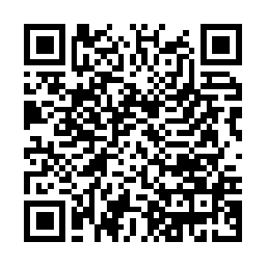 Link to your fundraiser QRCode - Fundraising