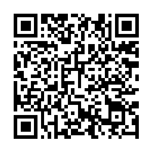 Link to your fundraiser QRCode - Fundraising