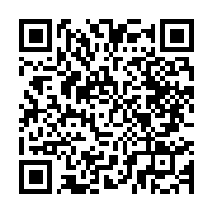 Link to your fundraiser QRCode - Fundraising