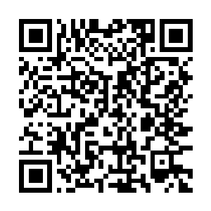 Link to your fundraiser QRCode - Fundraising