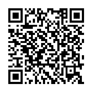 Link to your fundraiser QRCode - Fundraising