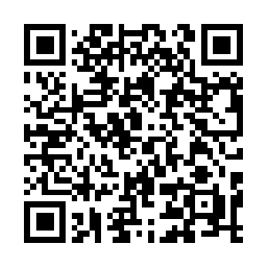 Link to your fundraiser QRCode - Fundraising