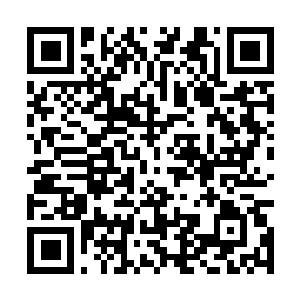 Link to your fundraiser QRCode - Fundraising