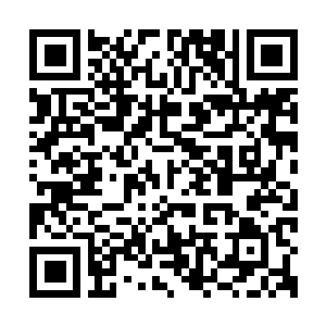 Link to your fundraiser QRCode - Fundraising