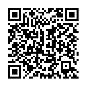 Link to your fundraiser QRCode - Fundraising