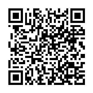 Link to your fundraiser QRCode - Fundraising