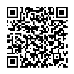 Link to your fundraiser QRCode - Fundraising