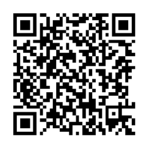 Link to your fundraiser QRCode - Fundraising