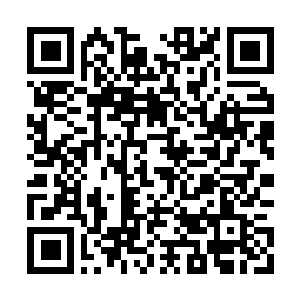 Link to your fundraiser QRCode - Fundraising