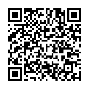 Link to your fundraiser QRCode - Fundraising