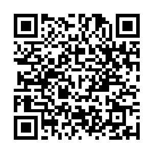 Link to your fundraiser QRCode - Fundraising