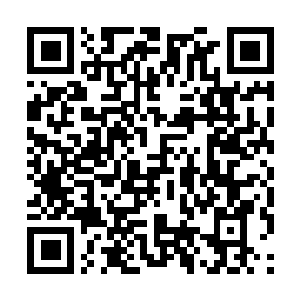 Link to your fundraiser QRCode - Fundraising