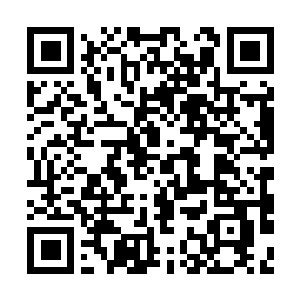 Link to your fundraiser QRCode - Fundraising