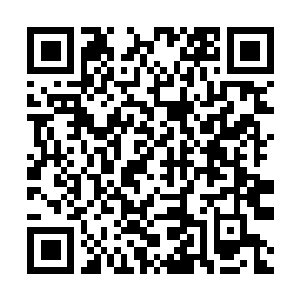 Link to your fundraiser QRCode - Fundraising