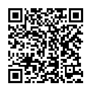 Link to your fundraiser QRCode - Fundraising