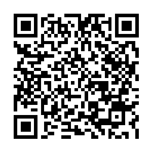 Link to your fundraiser QRCode - Fundraising