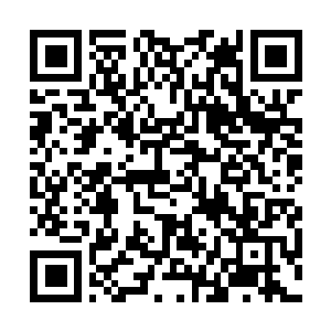 Link to your fundraiser QRCode - Fundraising