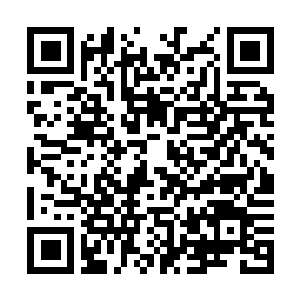 Link to your fundraiser QRCode - Fundraising