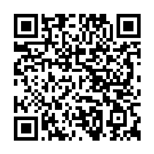 Link to your fundraiser QRCode - Fundraising