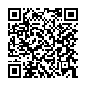 Link to your fundraiser QRCode - Fundraising