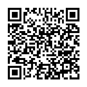 Link to your fundraiser QRCode - Fundraising