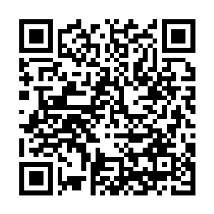 Link to your fundraiser QRCode - Fundraising