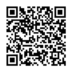 Link to your fundraiser QRCode - Fundraising